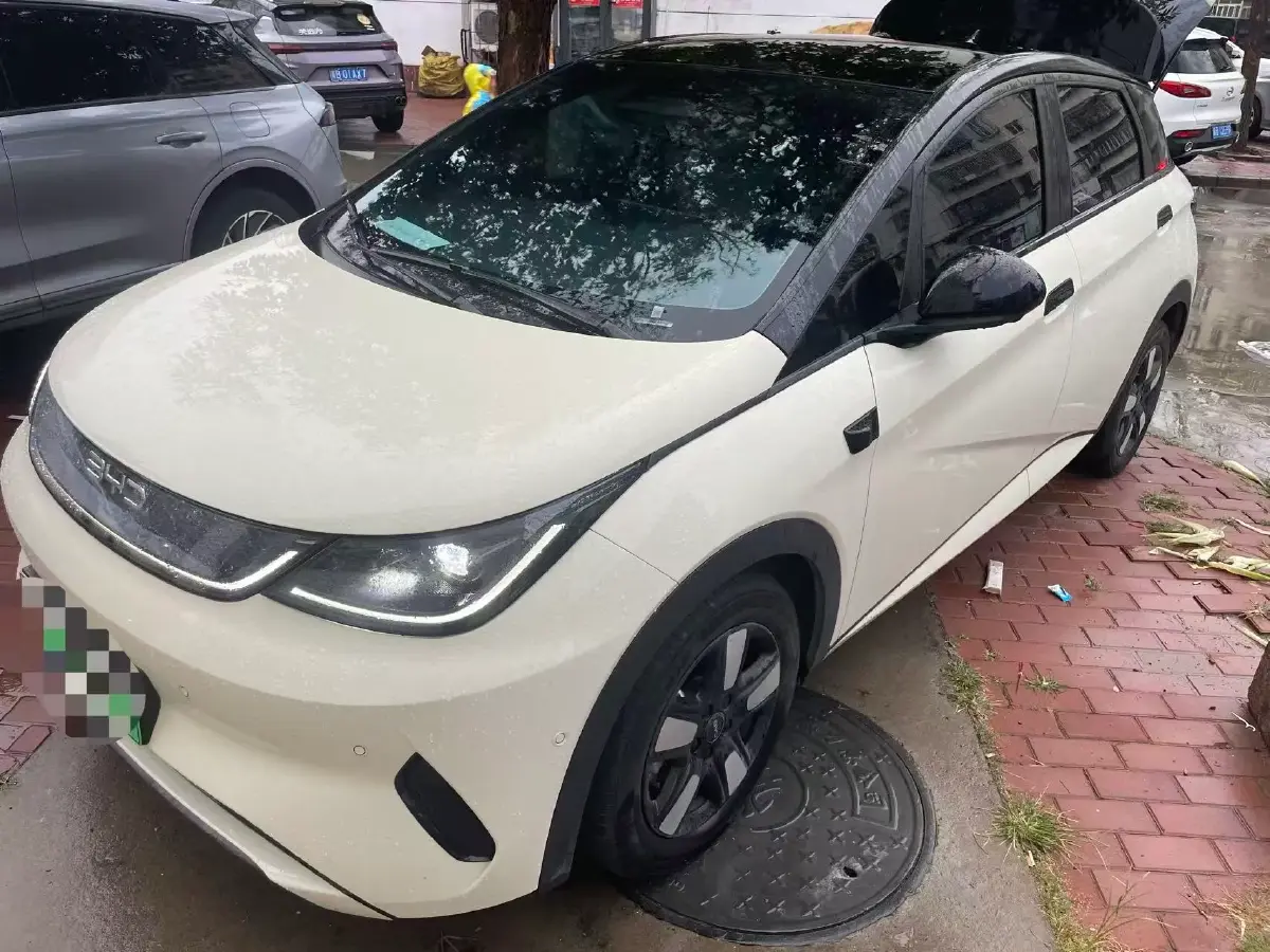 2025 BYD Dolphin BEV 45.12KWH 2025 BYD Dolphin BEV 45.12KWH