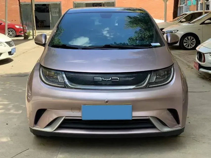 2021 BYD DOLPHIN thumbnail 2