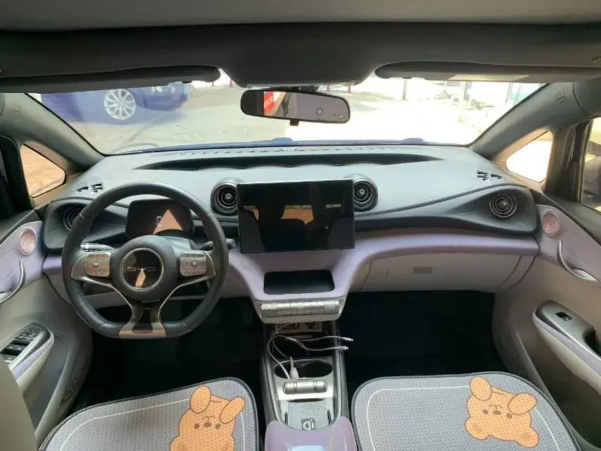 2021 BYD DOLPHIN thumbnail 4