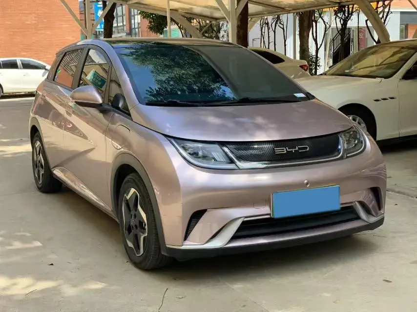 2021 BYD DOLPHIN thumbnail 3