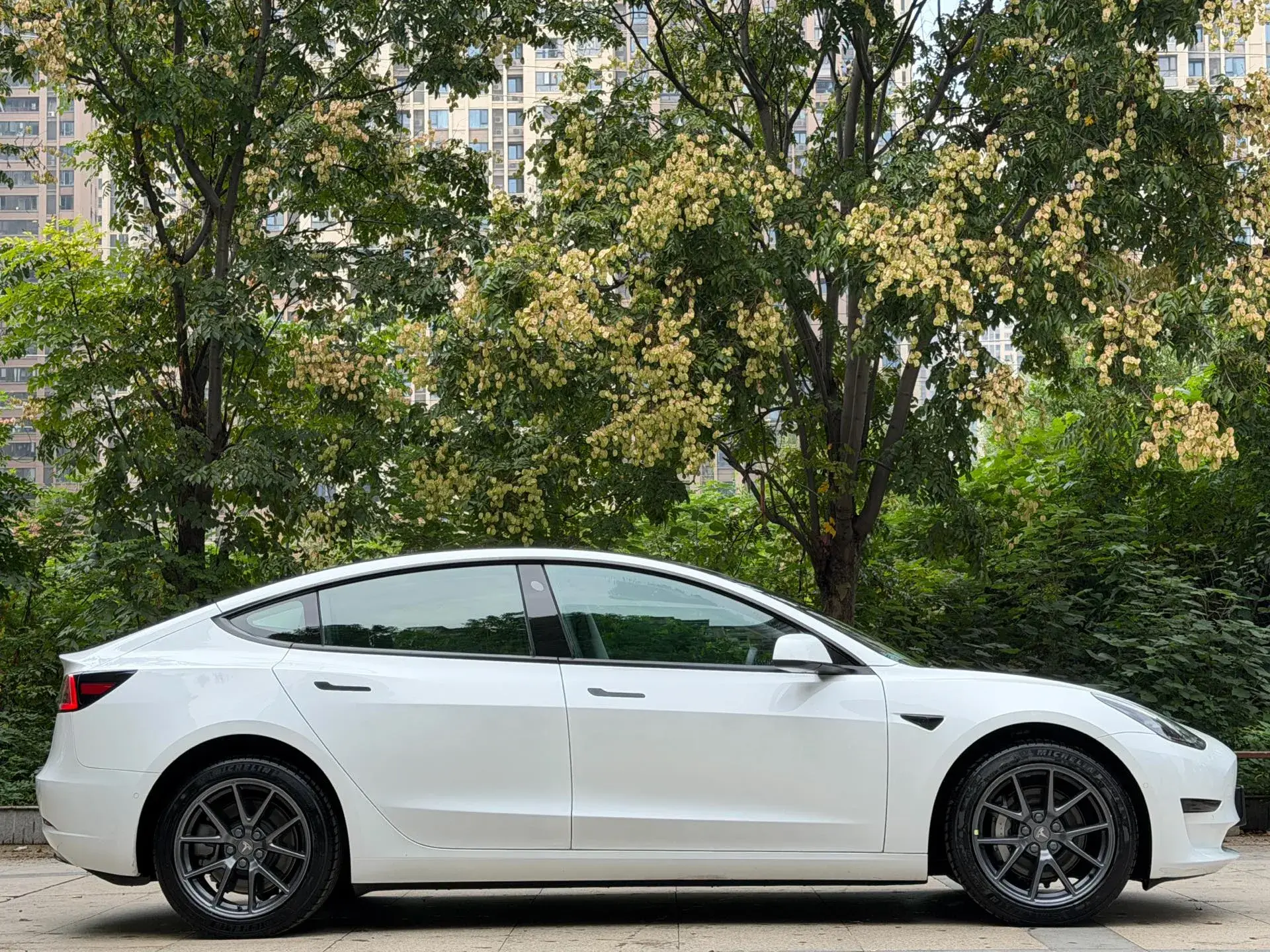 2022 TESLA MODEL thumbnail 3