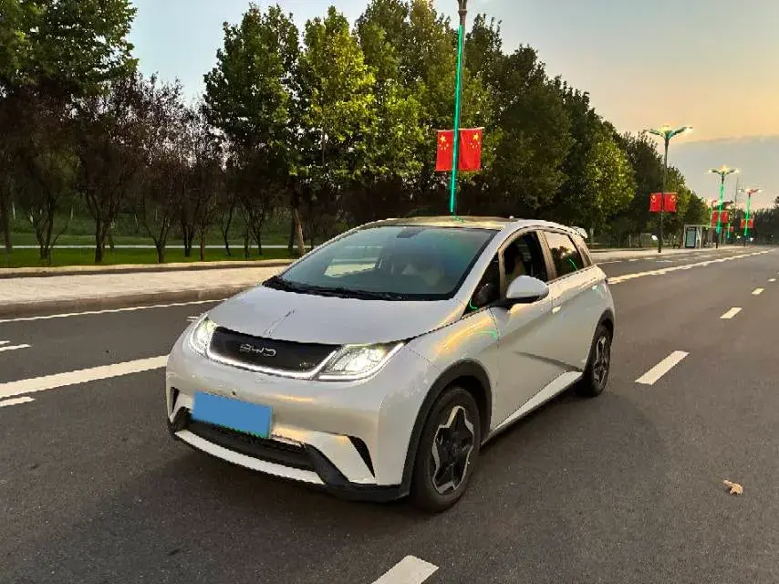 2021 BYD Dolphin BEV 44.9KWH
