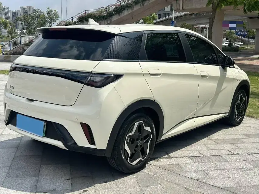 2025 BYD DOLPHIN thumbnail 4