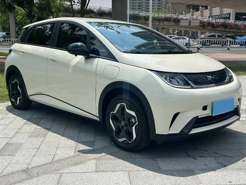 2025 BYD DOLPHIN thumbnail 2