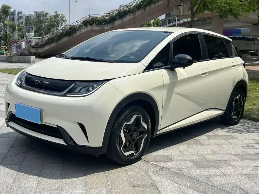2025 BYD DOLPHIN view 1