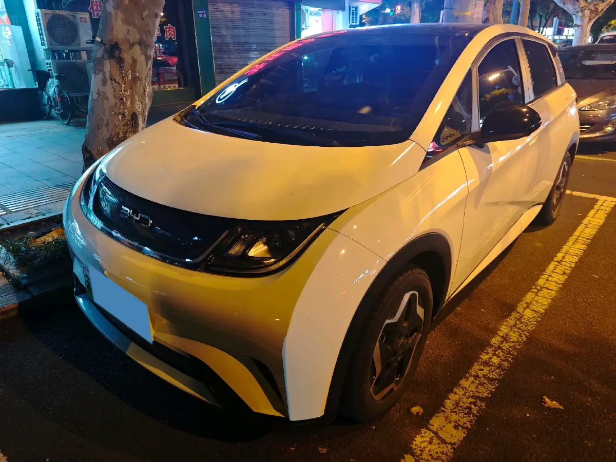 2021 BYD Dolphin BEV 44.9KWH
