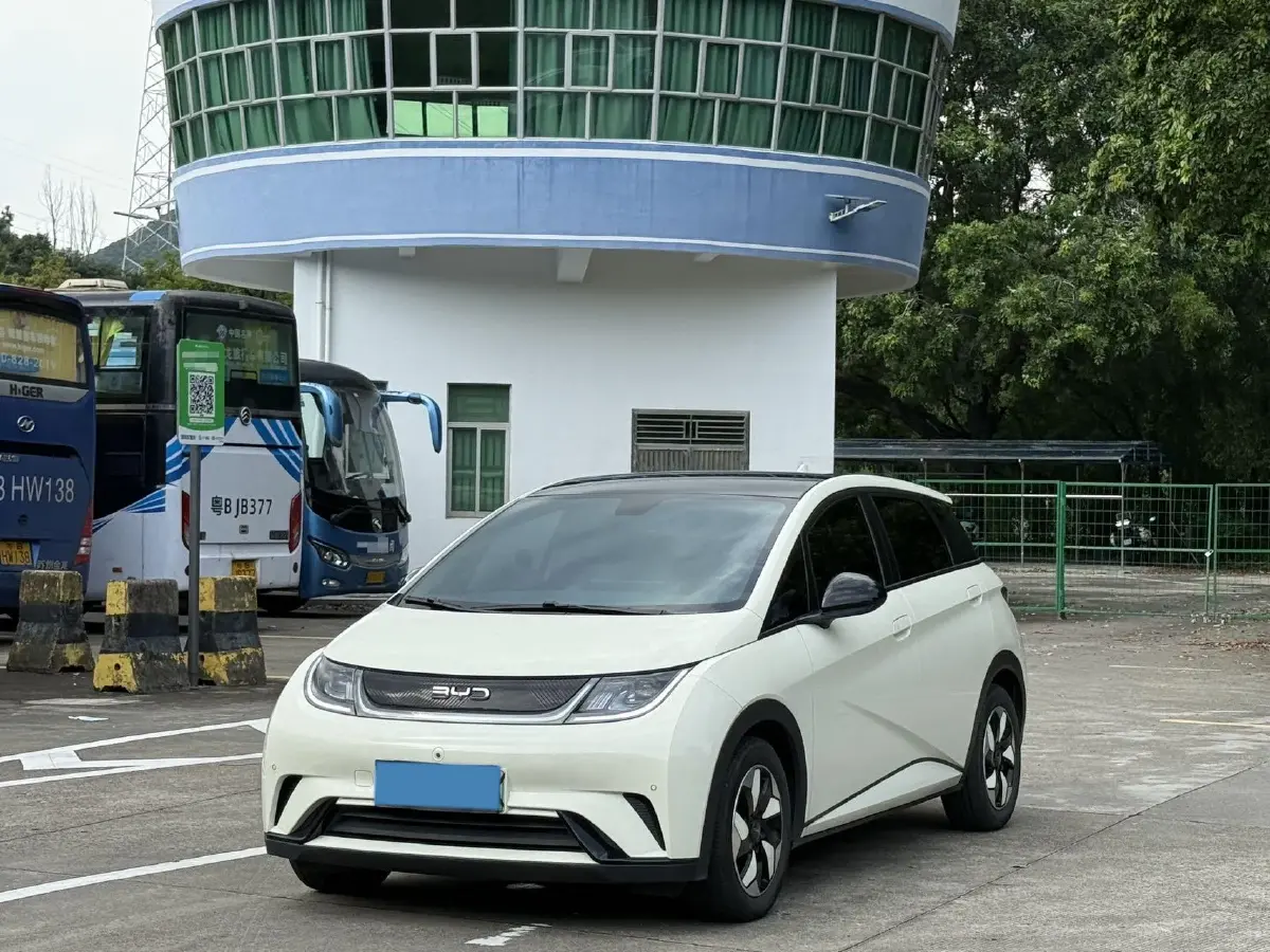 2024 BYD Dolphin BEV 44.928KWH