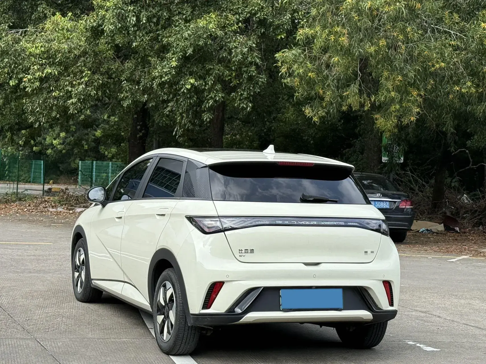 2024 BYD DOLPHIN thumbnail 4