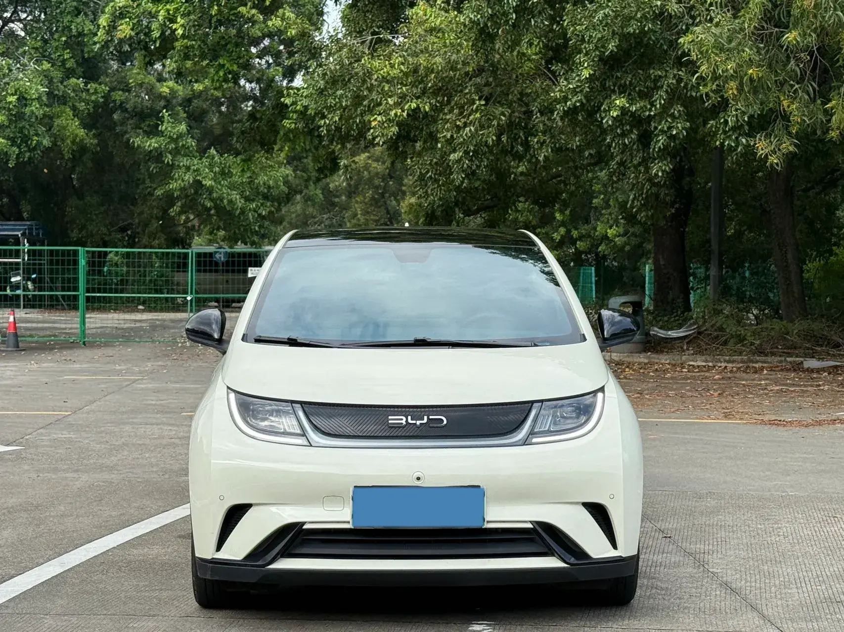 2024 BYD DOLPHIN thumbnail 2