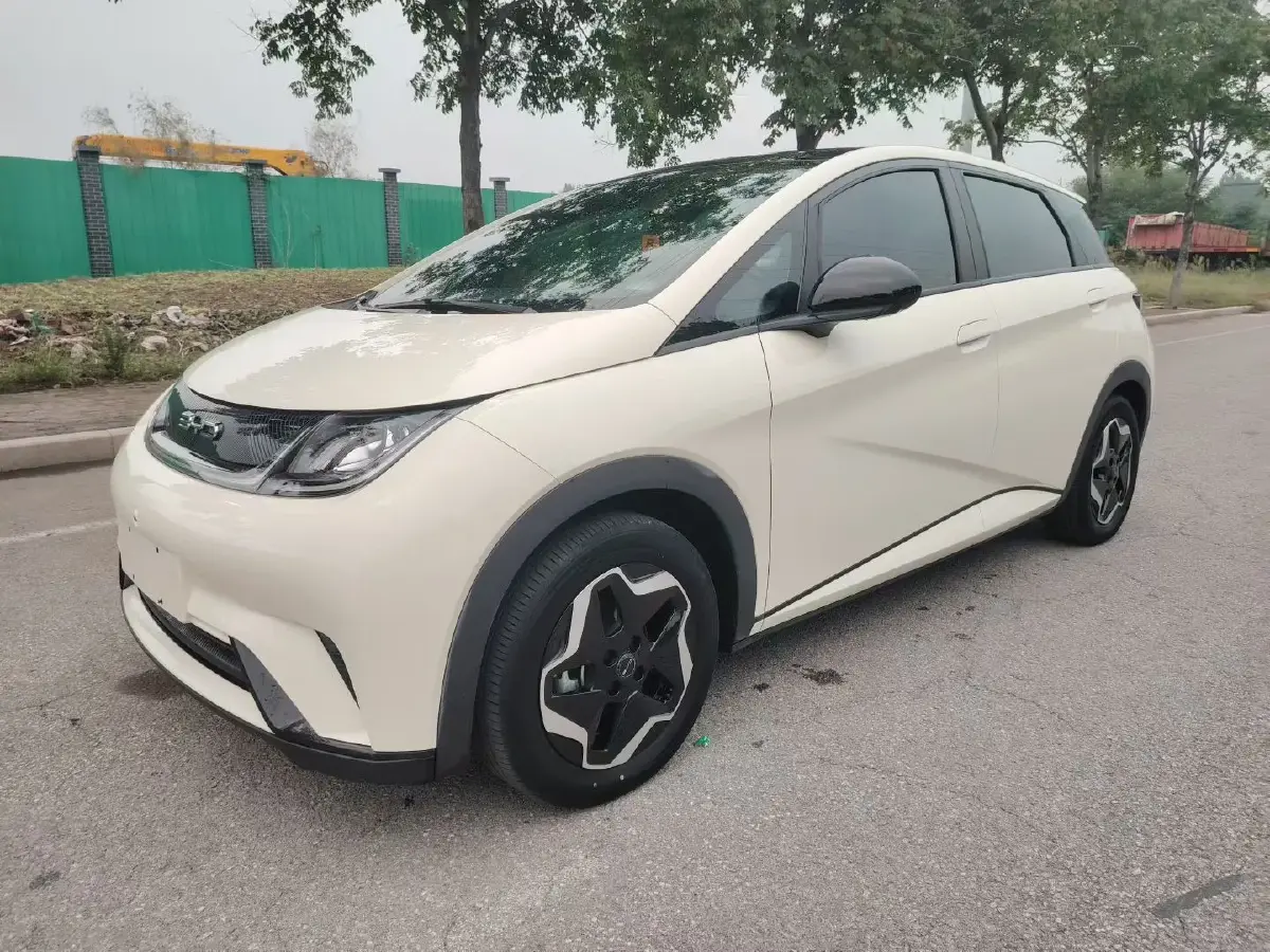 2021 BYD Dolphin BEV 44.9KWH 2021 BYD Dolphin BEV 44.9KWH