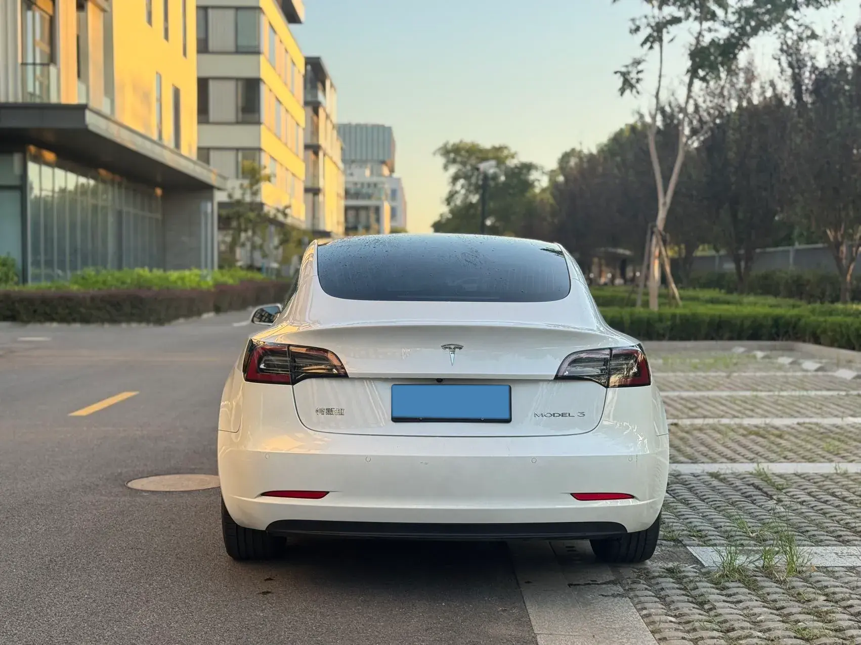 2020 TESLA MODEL thumbnail 4