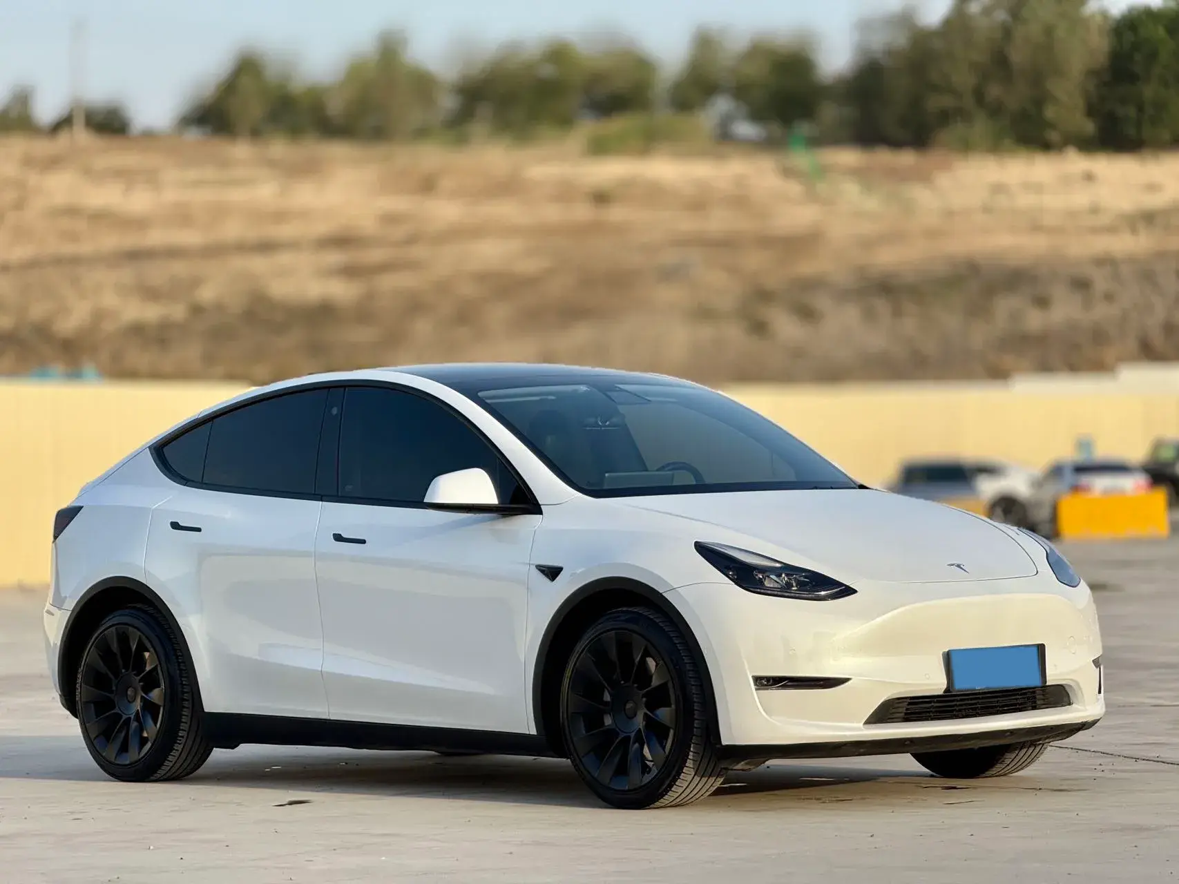 2021 TESLA MODEL thumbnail 3