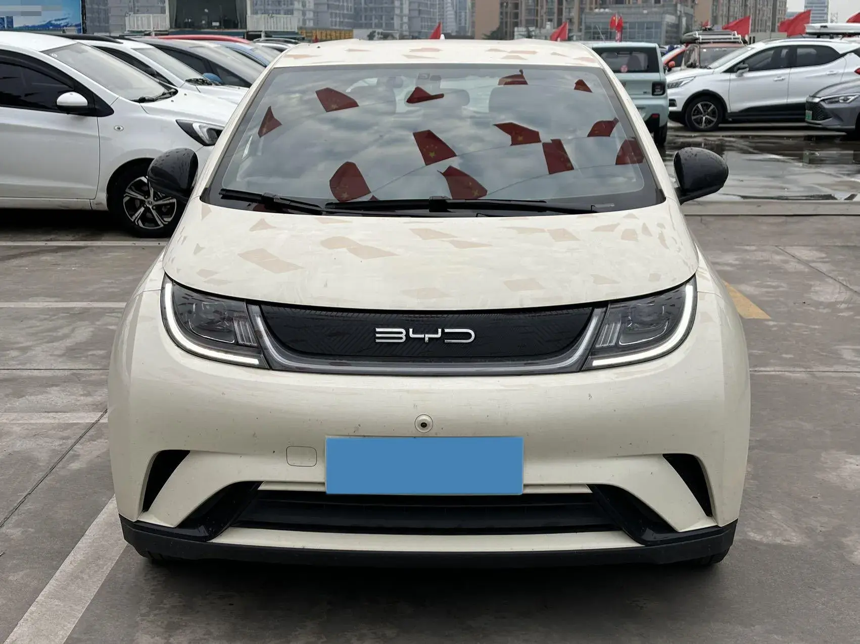 2023 BYD DOLPHIN thumbnail 2