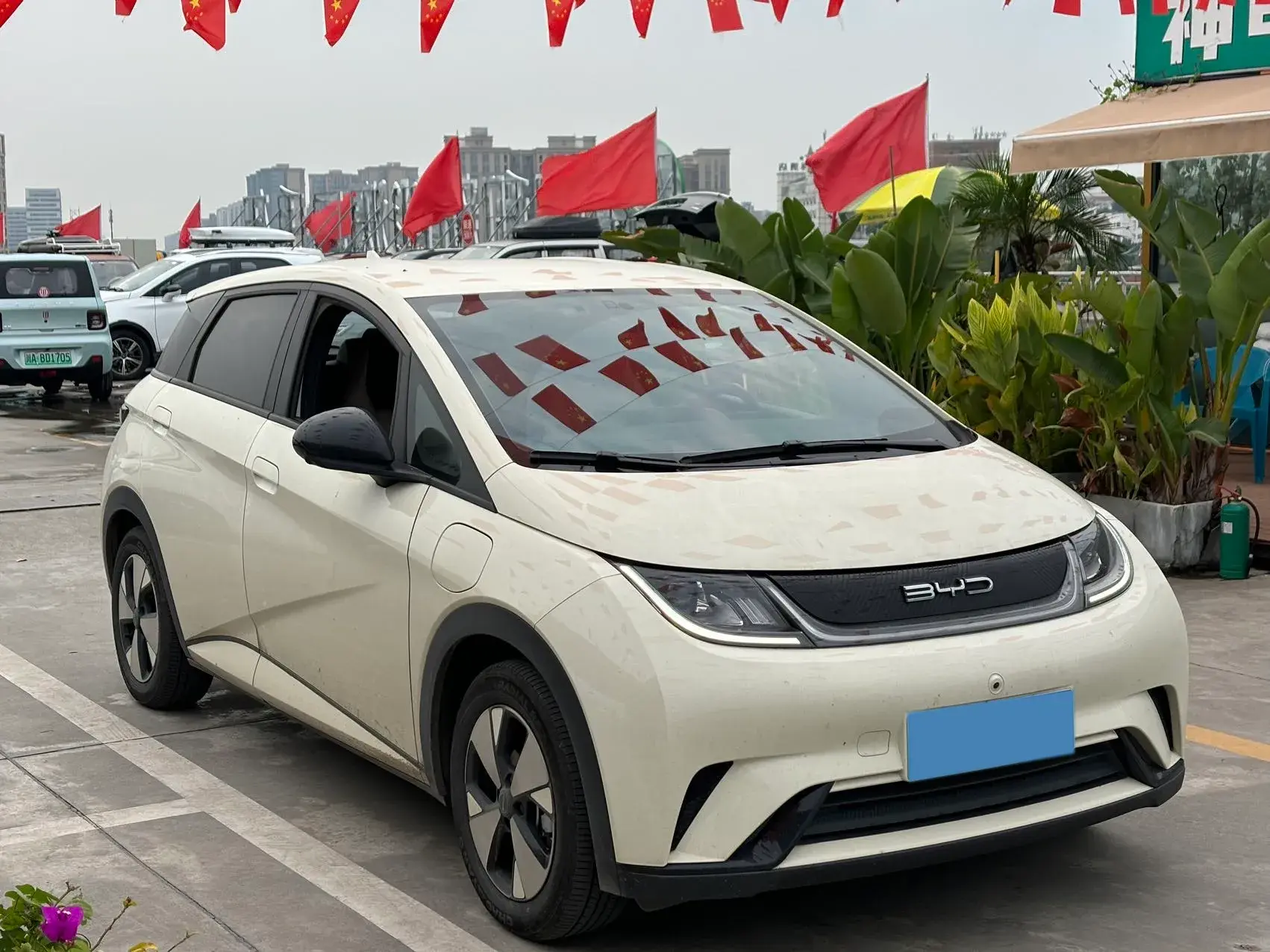 2023 BYD DOLPHIN thumbnail 3