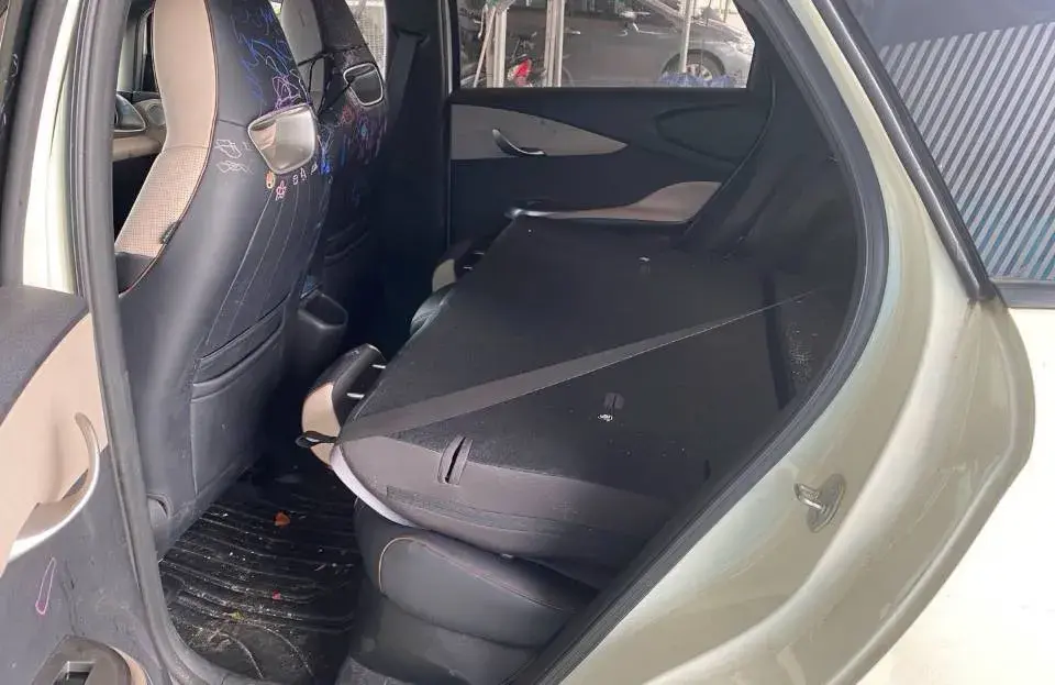 2021 BYD DOLPHIN thumbnail 3