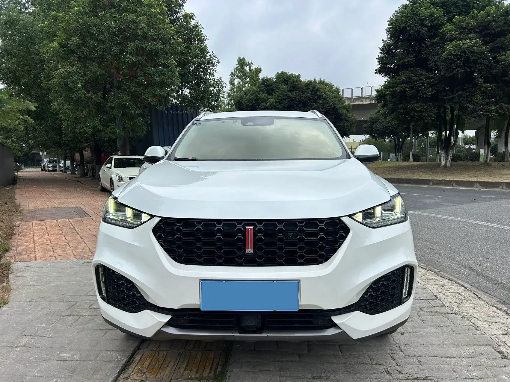 2018 WEY VV6 thumbnail 2