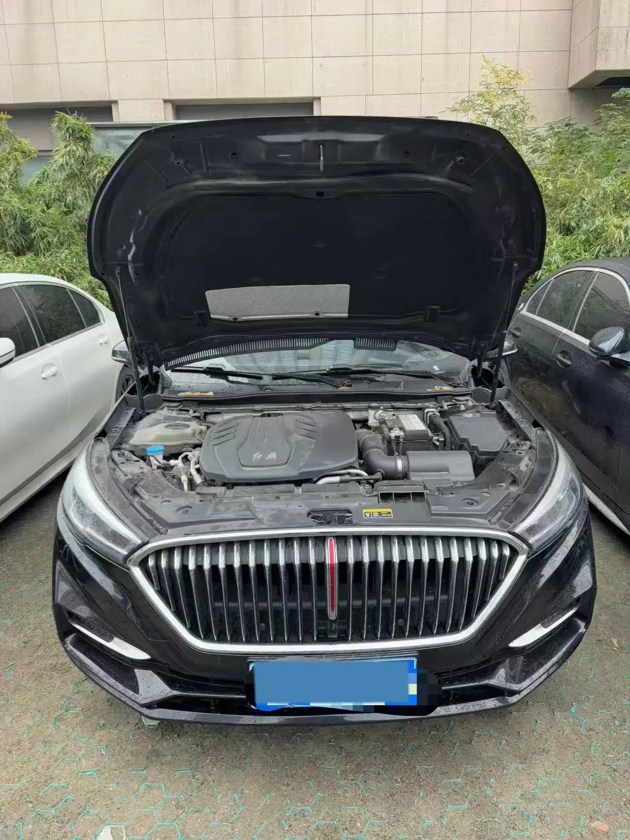 2020 HONGQI H5 thumbnail 3