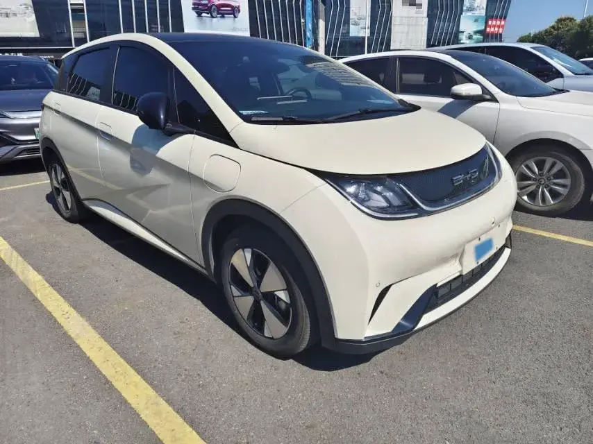 2023 BYD DOLPHIN thumbnail 2