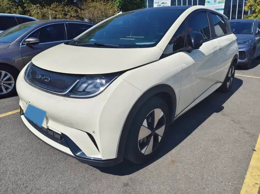 2023 BYD DOLPHIN view 1