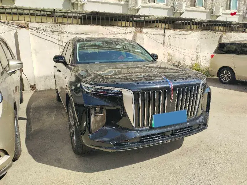 2021 HONGQI E-HS9 thumbnail 2