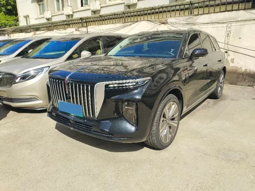 2021 HONGQI E-HS9 view 1