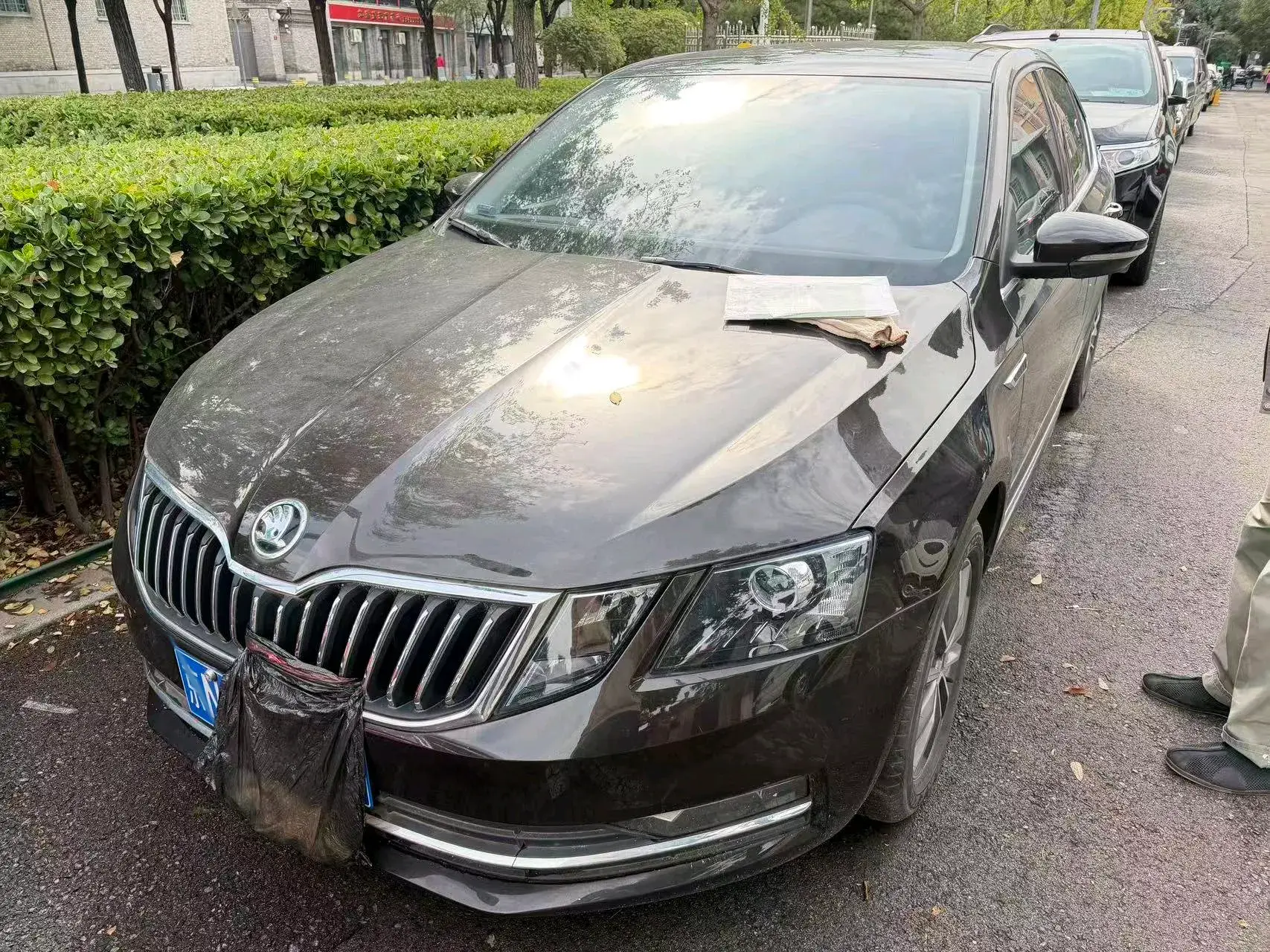2020 SKODA OCTAVIA view 1