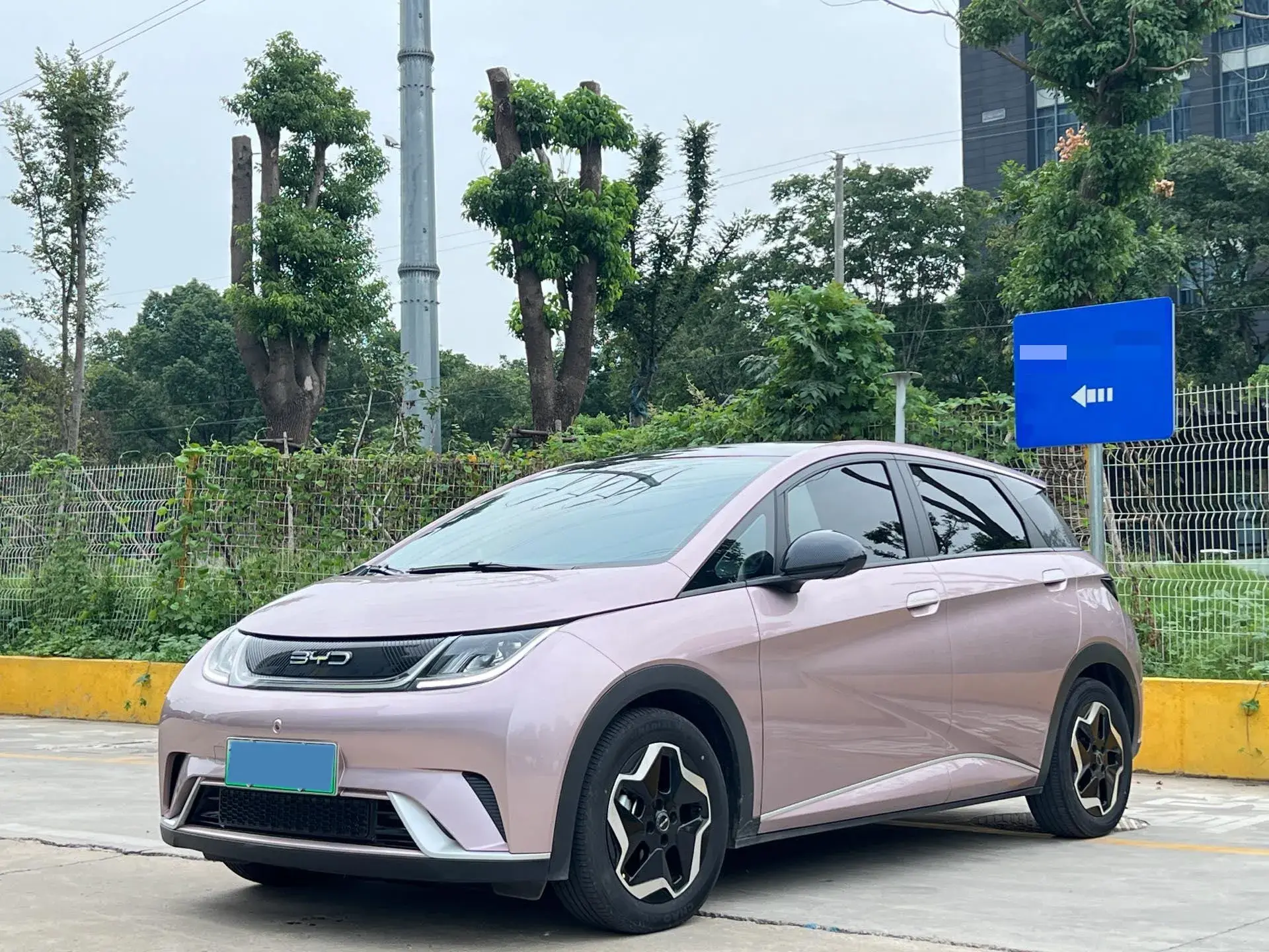 2023 BYD DOLPHIN view 1