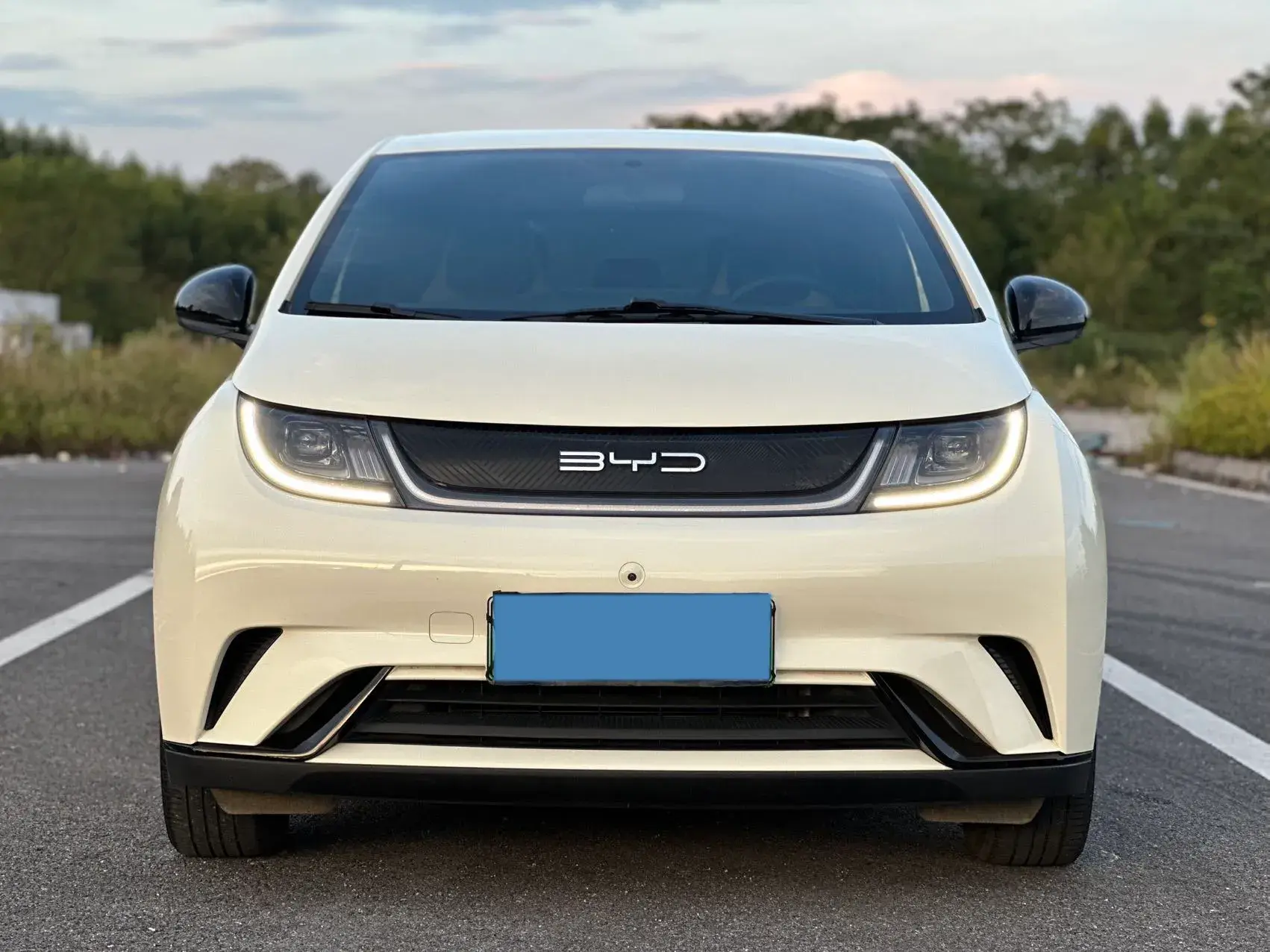 2023 BYD DOLPHIN thumbnail 3