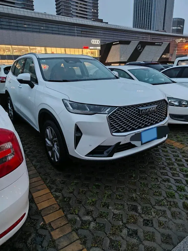 2021 HAVAL H6 thumbnail 2