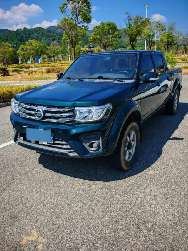 2021 DONGFENG RUIQI view 1