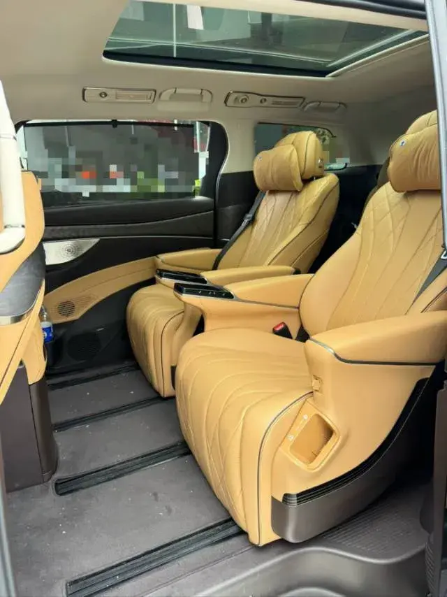 2024 DENZA D9 thumbnail 3