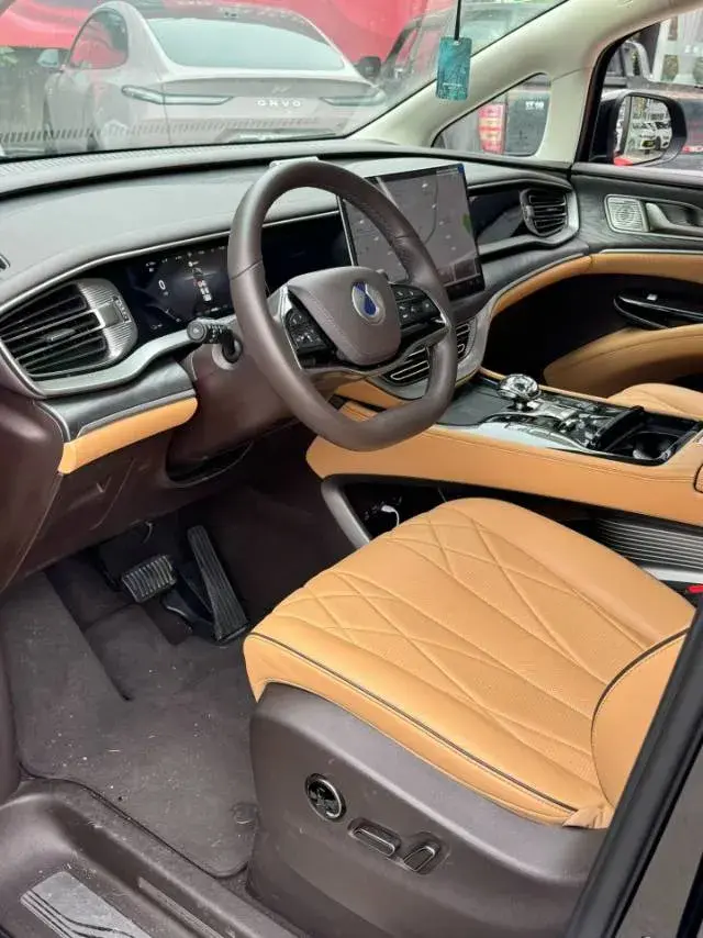 2024 DENZA D9 thumbnail 2