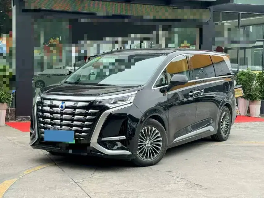 2024 DENZA D9 view 1