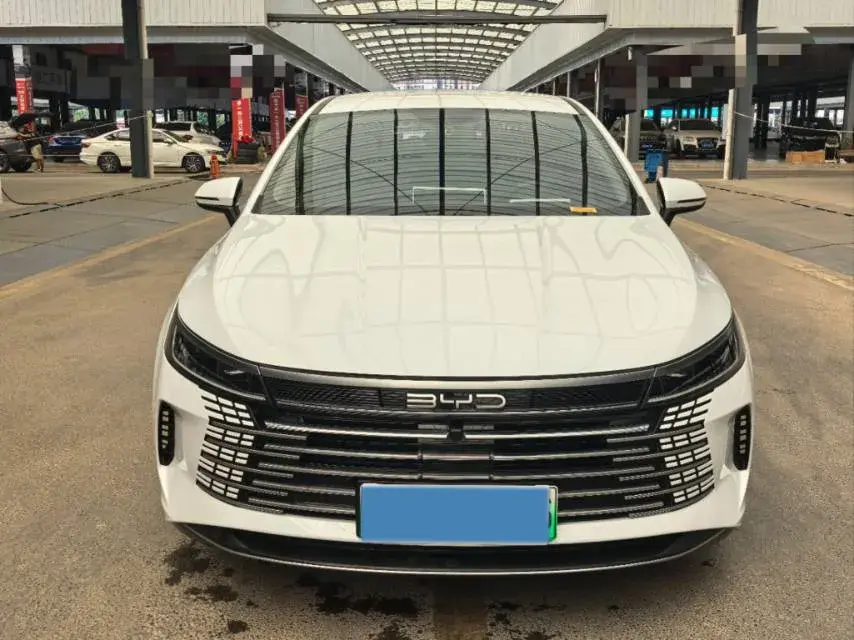 2024 BYD DESTROYER thumbnail 2