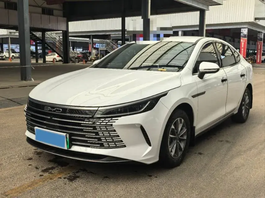 2024 BYD DESTROYER view 1