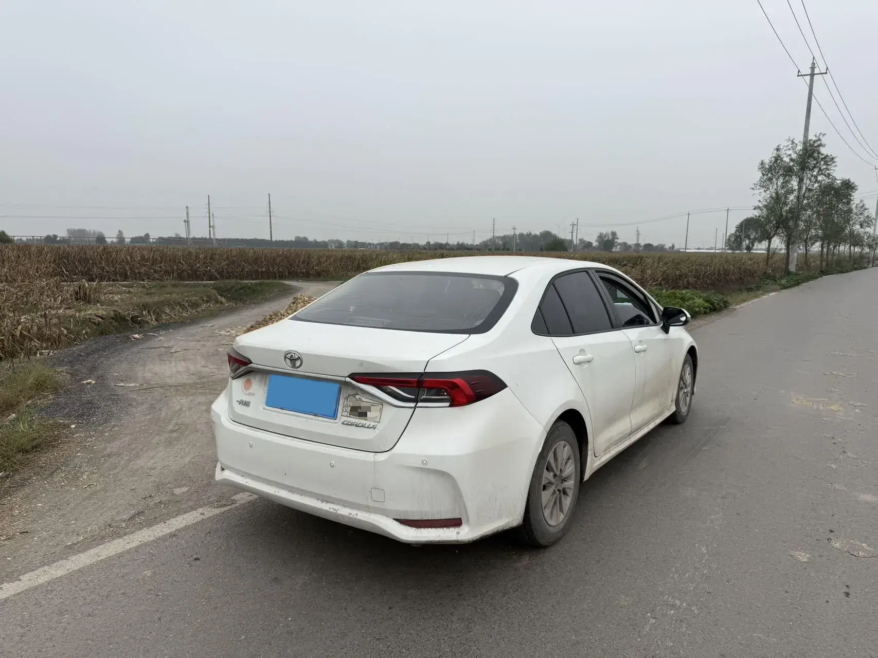 2021 TOYOTA COROLLA thumbnail 3