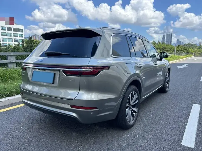 2020 LI ONE thumbnail 4