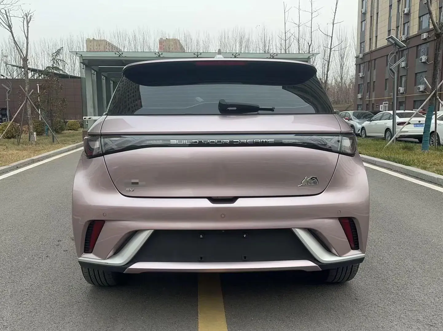 2023 BYD DOLPHIN thumbnail 4