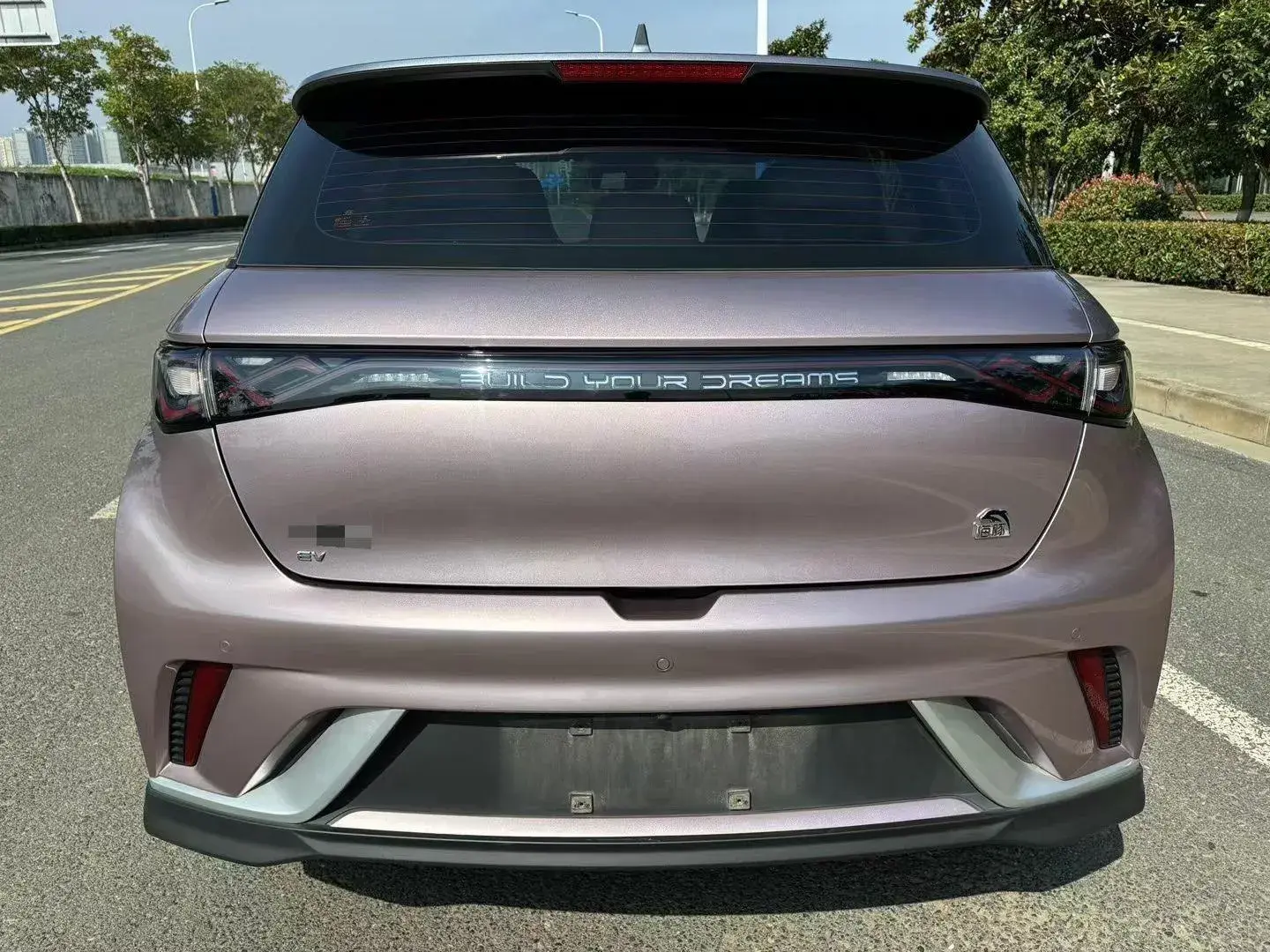 2021 BYD DOLPHIN thumbnail 4