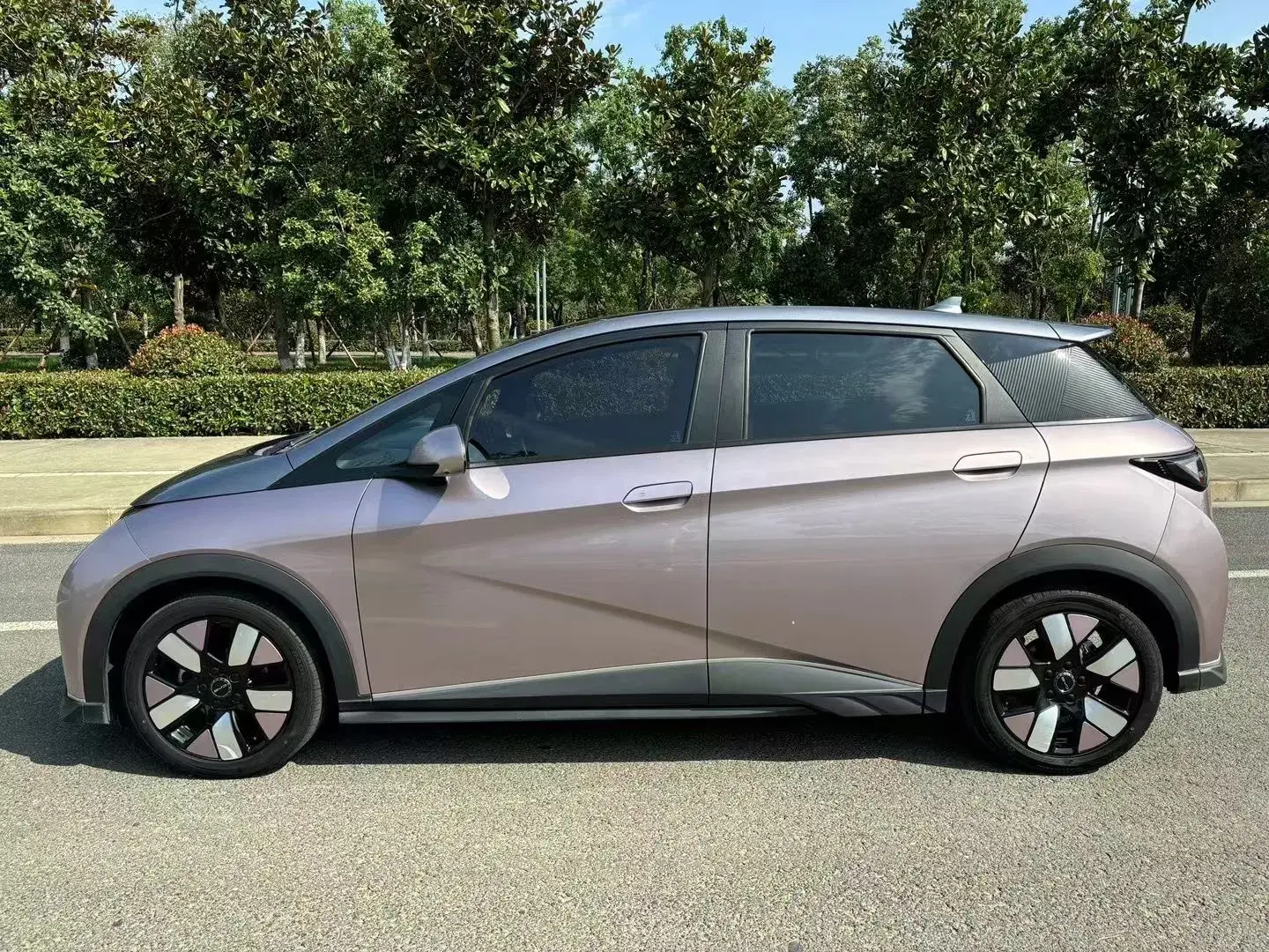 2021 BYD DOLPHIN thumbnail 3