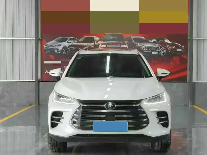 2019 BYD TANG thumbnail 2