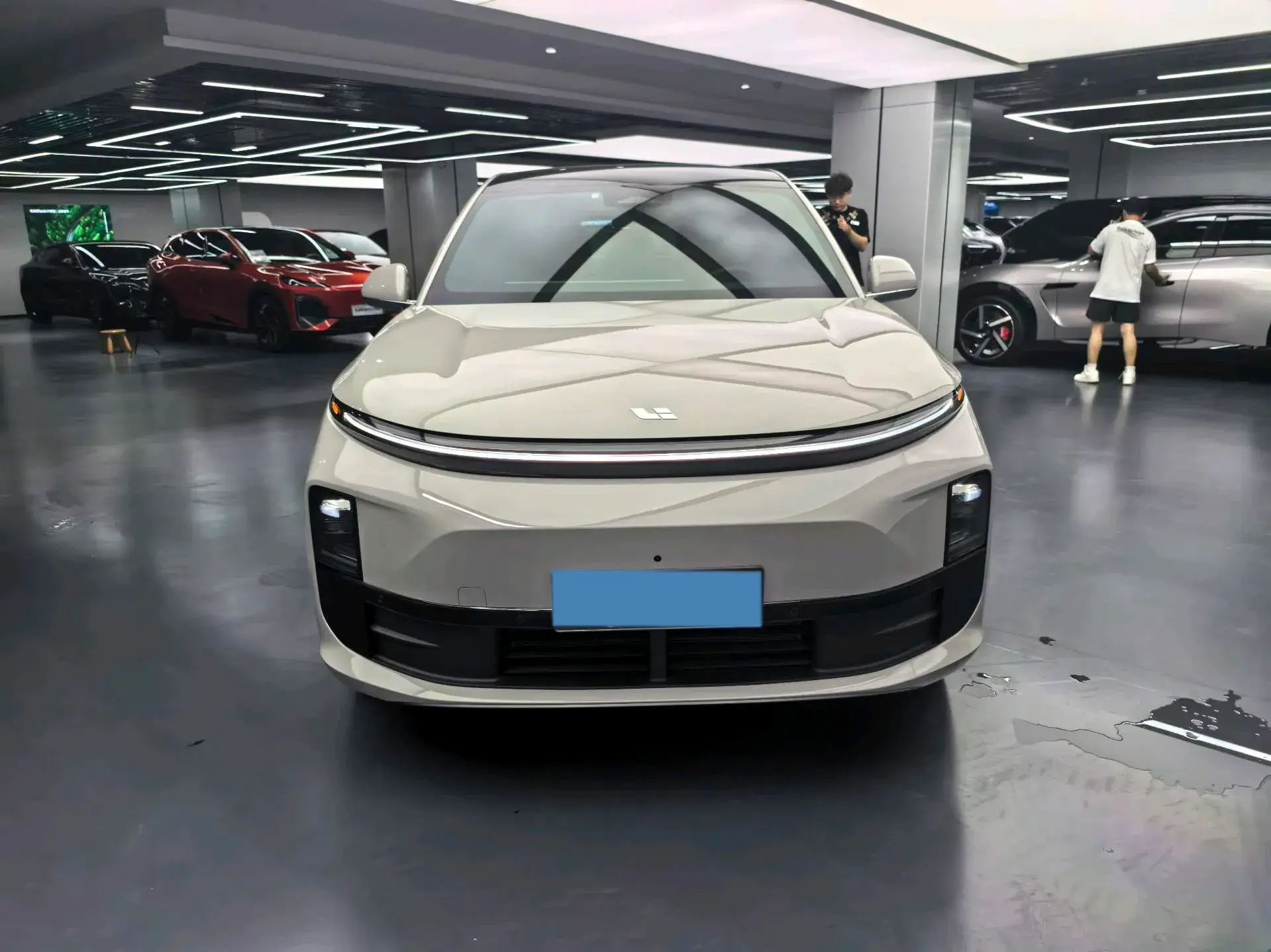 2024 LI L6 thumbnail 2