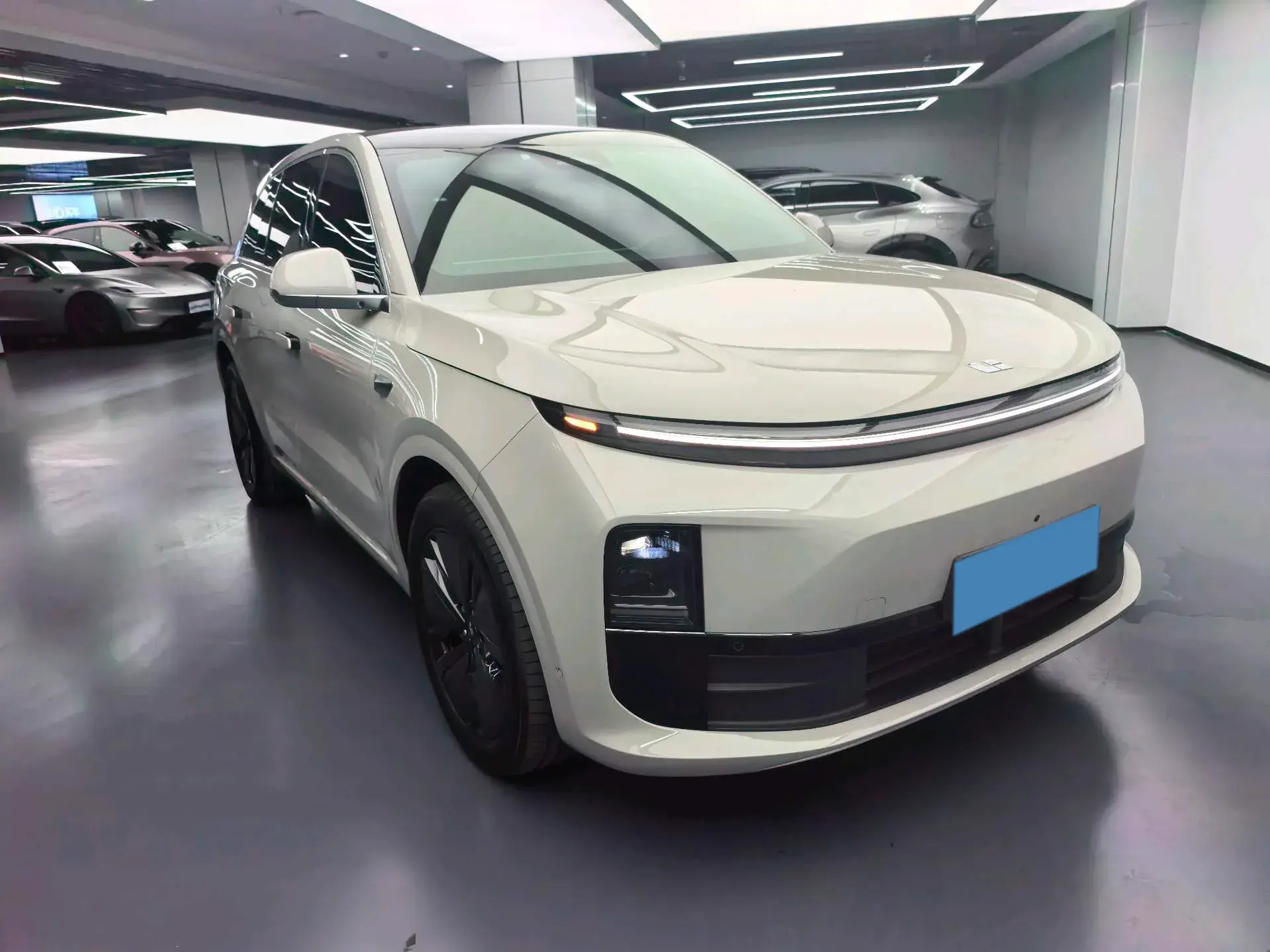 2024 LI L6 thumbnail 3