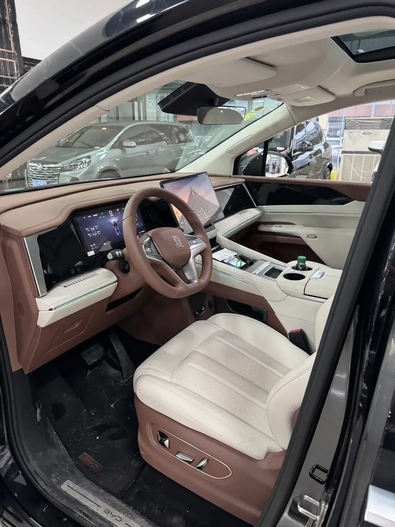 2025 BYD XIA thumbnail 3