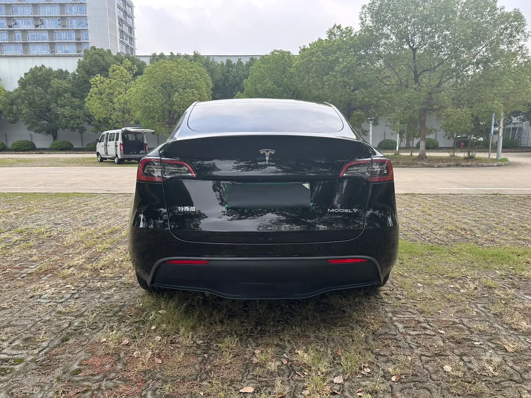 2022 TESLA MODEL thumbnail 4