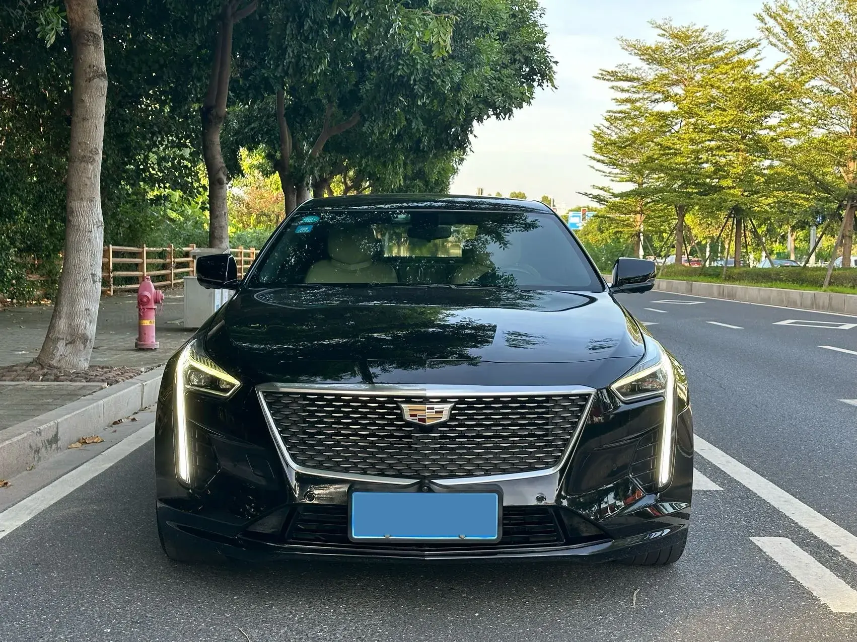 2020 CADILLAC CT6 thumbnail 2