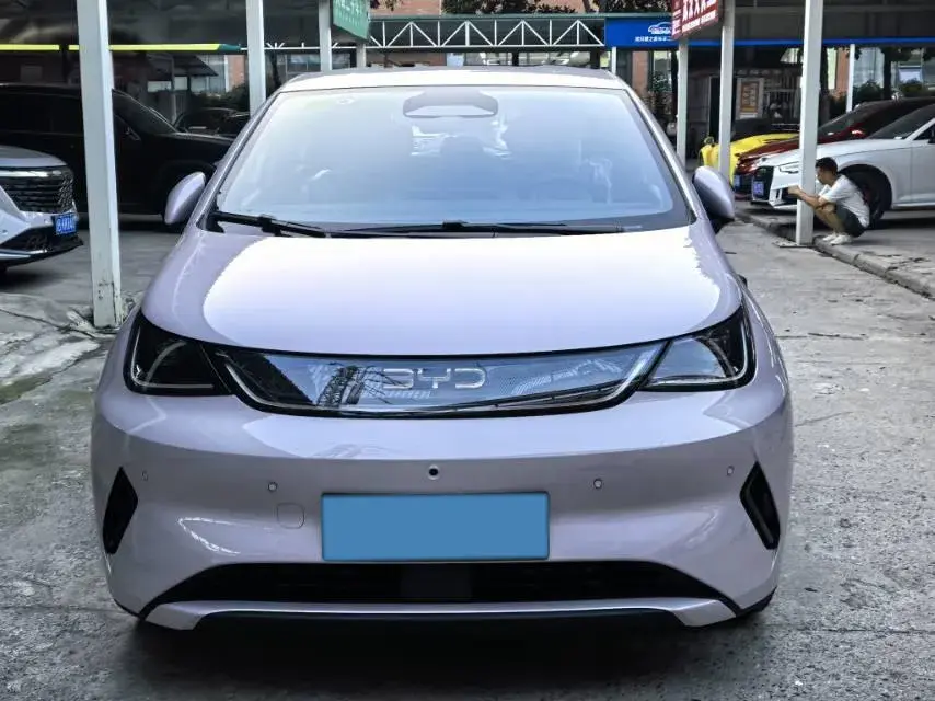 2025 BYD DOLPHIN thumbnail 2