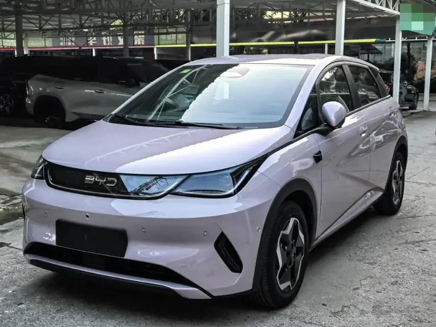 2025 BYD DOLPHIN view 1