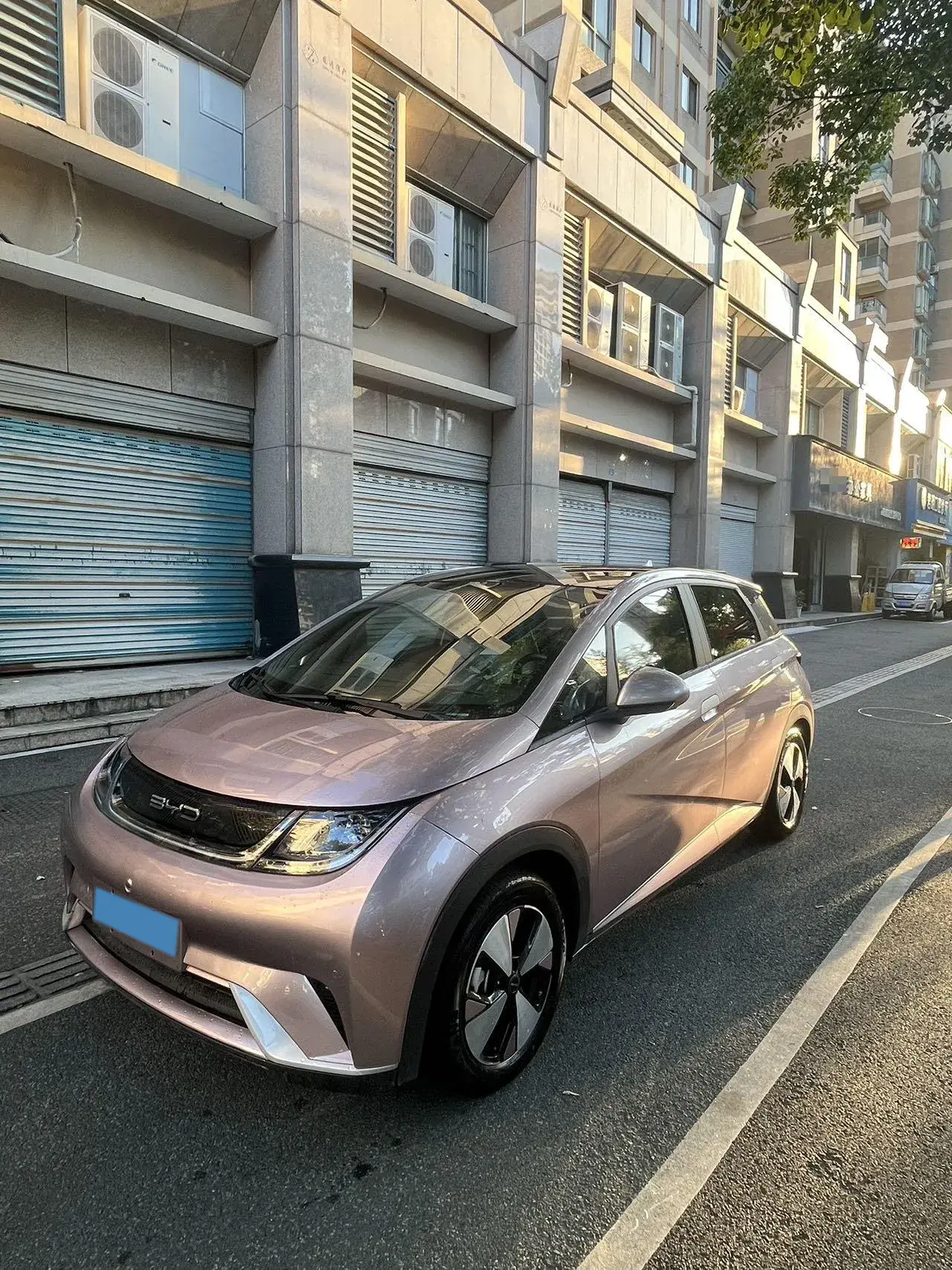 2023 BYD DOLPHIN view 1