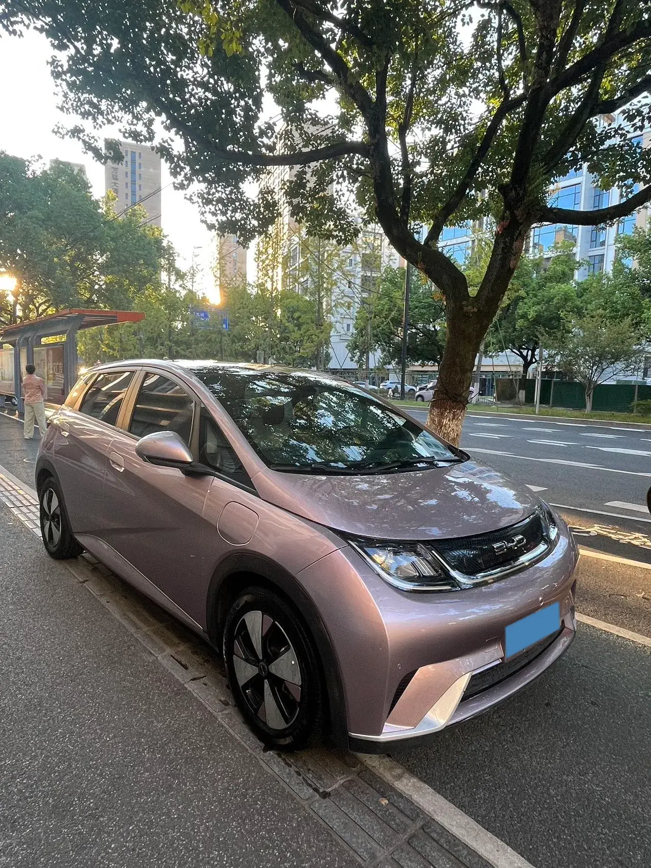 2023 BYD DOLPHIN thumbnail 3